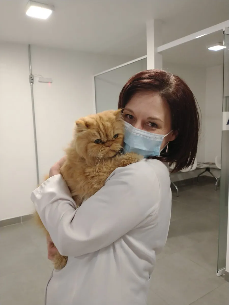 Dra. Flávia Howes segurando no colo um gato persa laranja durante o atendimento