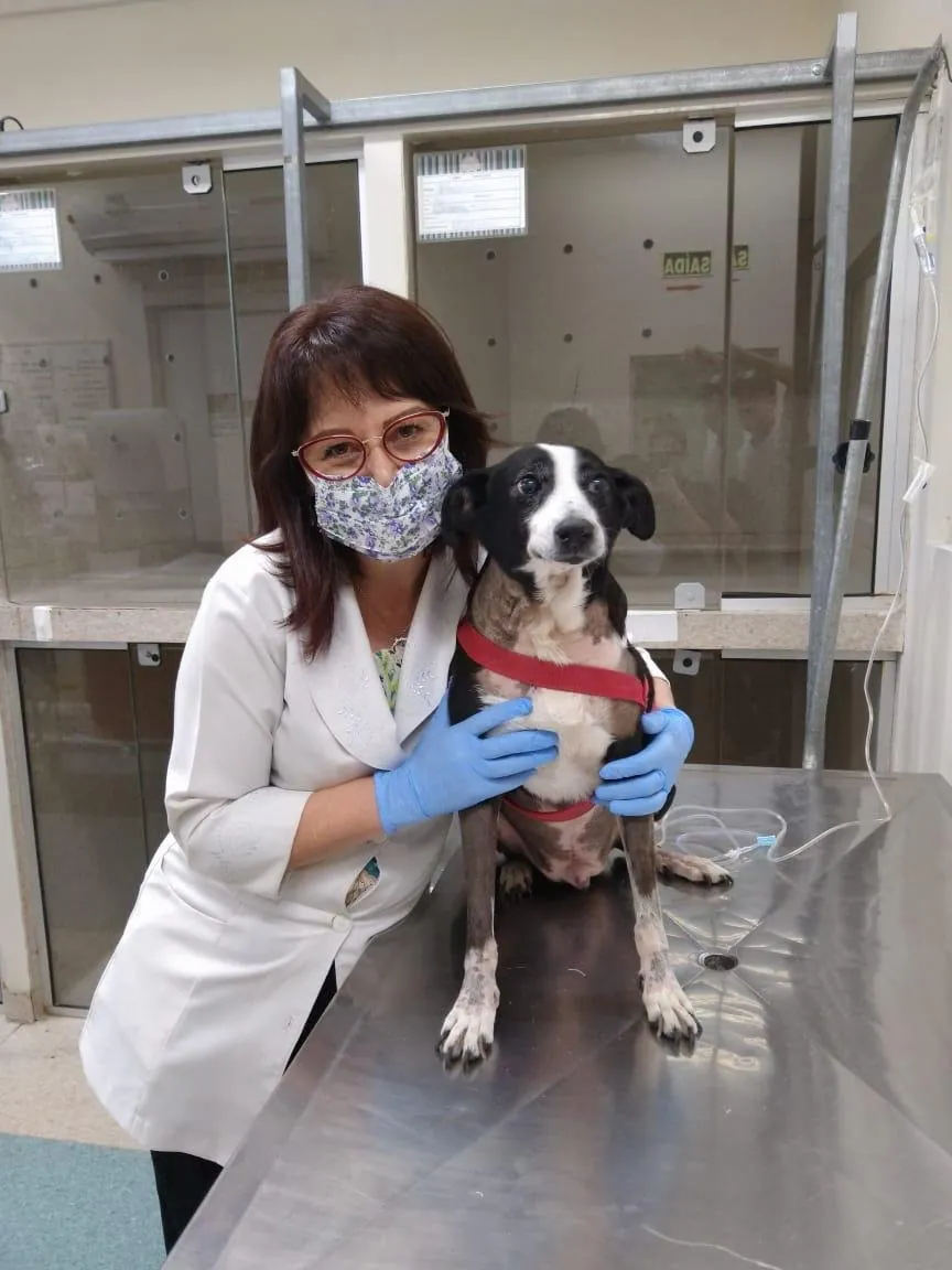 Dra. Flávia Howes de jaleco e máscara, abraçando um cão preto e branco sobre a mesa de atendimento